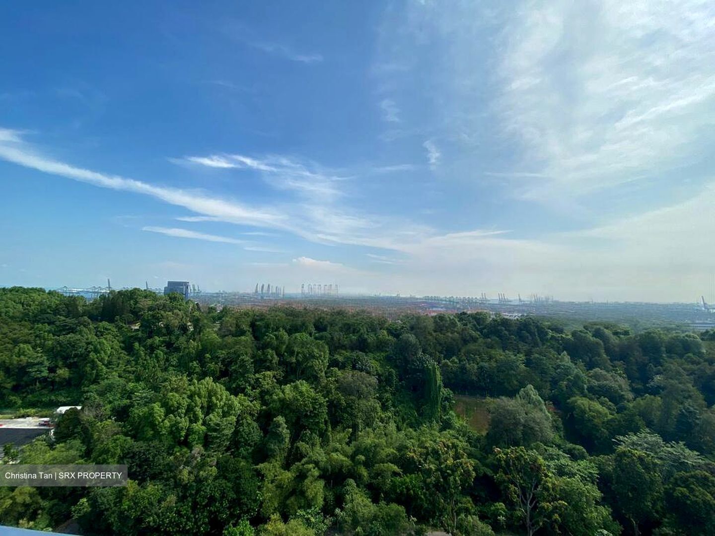 Normanton Park (D5), Apartment #519107691